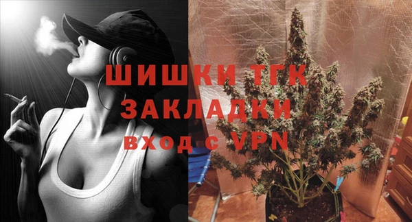 индика Зеленодольск